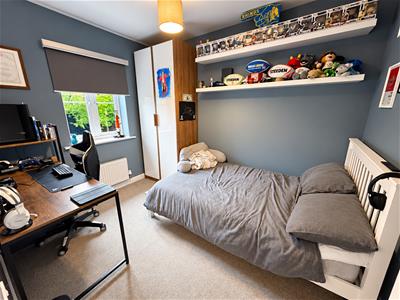Picture 14